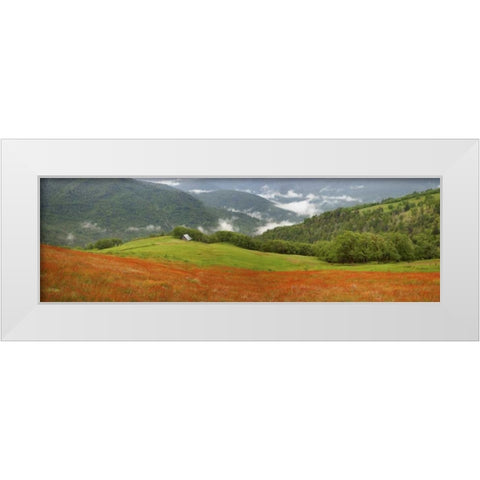 CA, Redwoods Mountain scenic with old barn White Modern Wood Framed Art Print by Paulson, Don