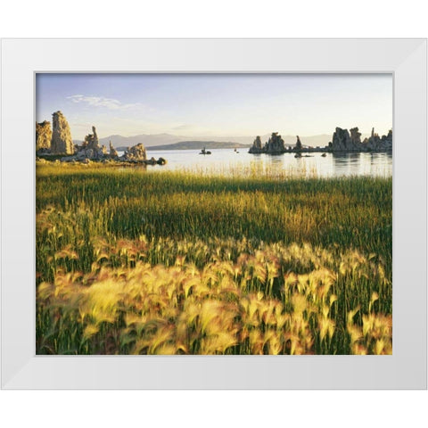 CA, Eastern Sierras, Mono Lake landscape White Modern Wood Framed Art Print by Flaherty, Dennis
