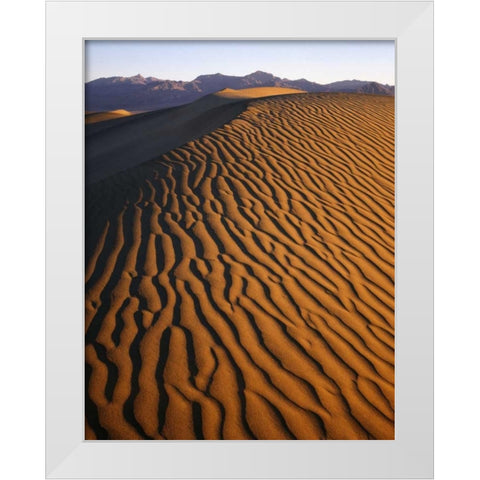 Patterns at Mesquite Sand dunes, Death Valley, CA White Modern Wood Framed Art Print by Flaherty, Dennis