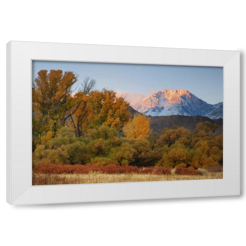 CA, Sierra Nevada, Owens Valley Basin Mountain White Modern Wood Framed Art Print by Flaherty, Dennis