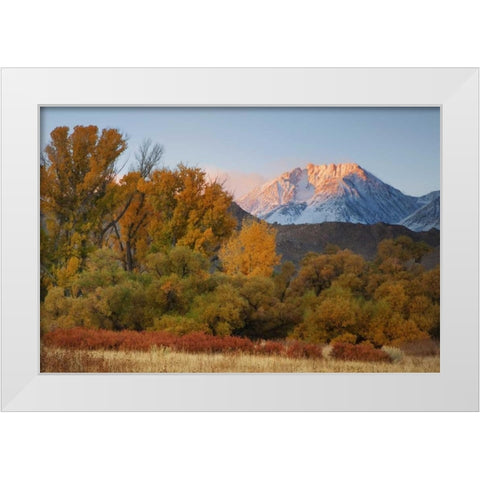 CA, Sierra Nevada, Owens Valley Basin Mountain White Modern Wood Framed Art Print by Flaherty, Dennis