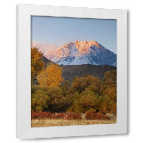 CA, Sierra Nevada, Owens Valley Basin Mountain White Modern Wood Framed Art Print by Flaherty, Dennis