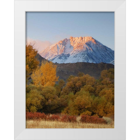 CA, Sierra Nevada, Owens Valley Basin Mountain White Modern Wood Framed Art Print by Flaherty, Dennis