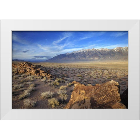 California Great Basin Abstract petroglyphs White Modern Wood Framed Art Print by Flaherty, Dennis