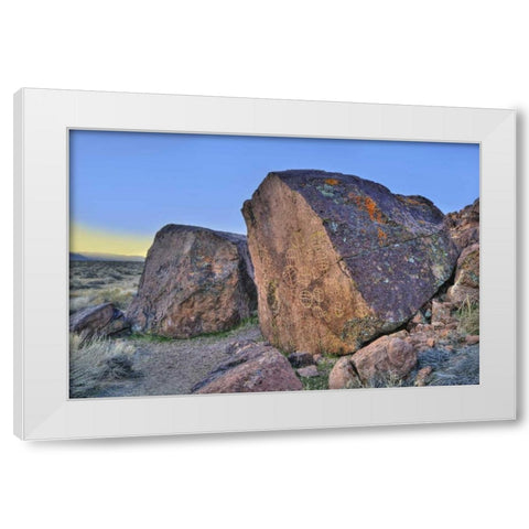 California, Owens Valley, Curvilinear petroglyphs White Modern Wood Framed Art Print by Flaherty, Dennis