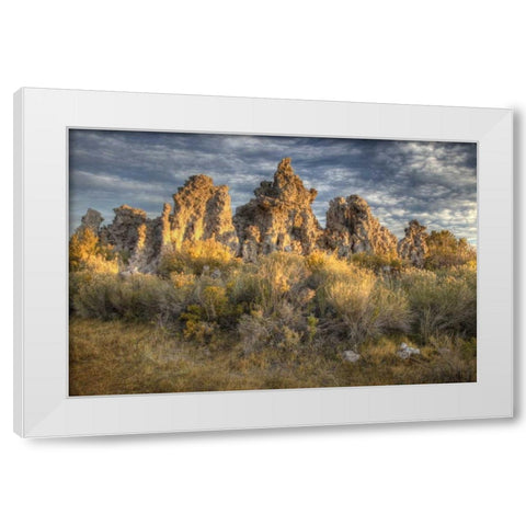 California, Mono Lake Sunrise on tufas and grass White Modern Wood Framed Art Print by Carter, Jean