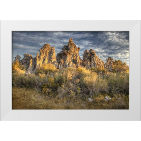 California, Mono Lake Sunrise on tufas and grass White Modern Wood Framed Art Print by Carter, Jean
