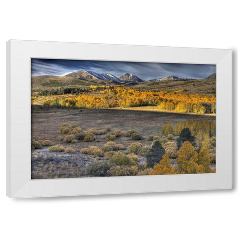 CA, Eastern Sierra Nevada from Conway Summit White Modern Wood Framed Art Print by Carter, Jean