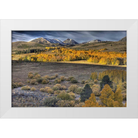 CA, Eastern Sierra Nevada from Conway Summit White Modern Wood Framed Art Print by Carter, Jean
