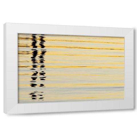 CA, San Diego Abstract reflections in the harbor White Modern Wood Framed Art Print by Paulson, Don