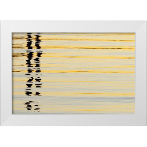 CA, San Diego Abstract reflections in the harbor White Modern Wood Framed Art Print by Paulson, Don