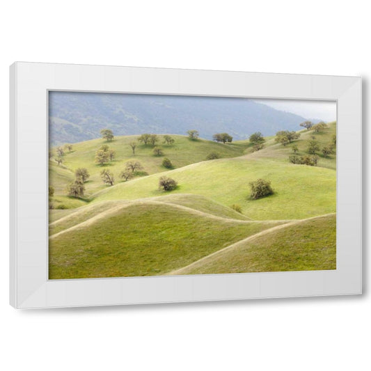 Perspective Image