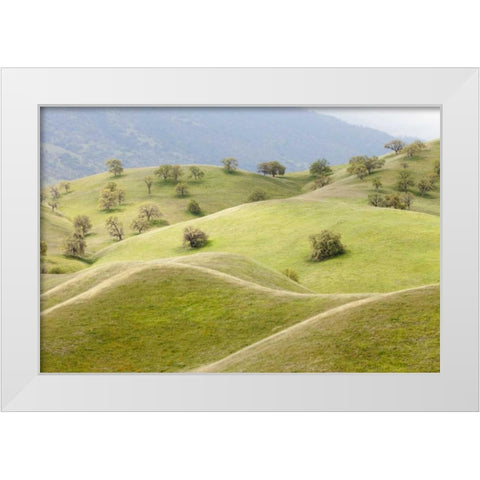 CA, Caliente Spring landscape White Modern Wood Framed Art Print by Paulson, Don