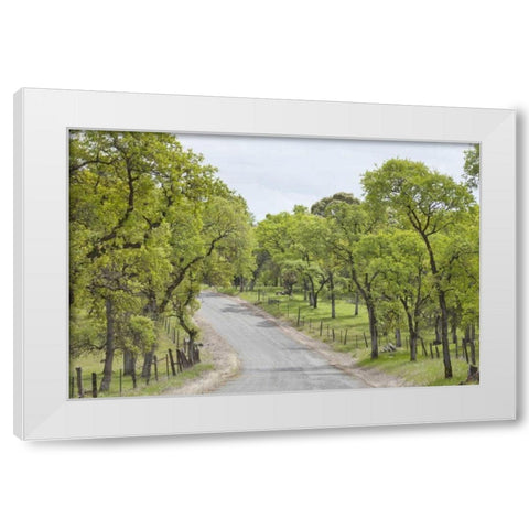 California, Chinese Camp Old Don Pedro Road White Modern Wood Framed Art Print by Paulson, Don