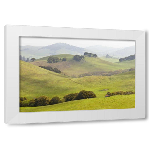 USA, California, Olema Landscape of farm fields White Modern Wood Framed Art Print by Paulson, Don