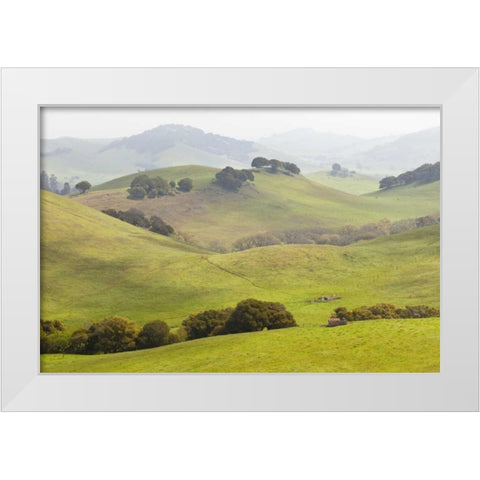 USA, California, Olema Landscape of farm fields White Modern Wood Framed Art Print by Paulson, Don