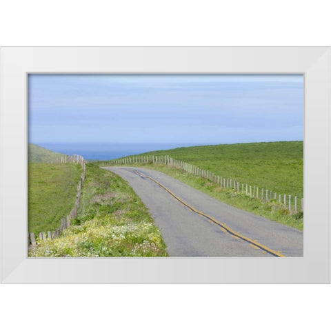 CA, Road through Point Reyes National Seashore White Modern Wood Framed Art Print by Paulson, Don