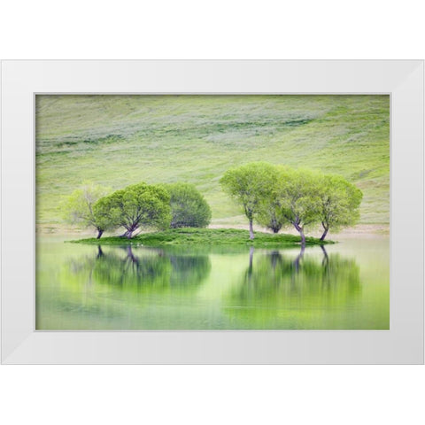 CA, Trees reflect in Black Butte Reservoir White Modern Wood Framed Art Print by Paulson, Don