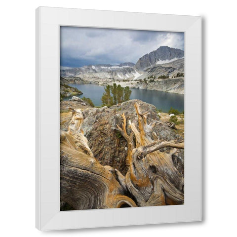 California, Inyo National Forest Steelhead Lake White Modern Wood Framed Art Print by Paulson, Don