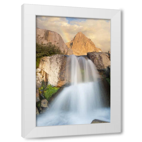 California, Inyo NF Waterfall below Mount Ritter White Modern Wood Framed Art Print by Paulson, Don