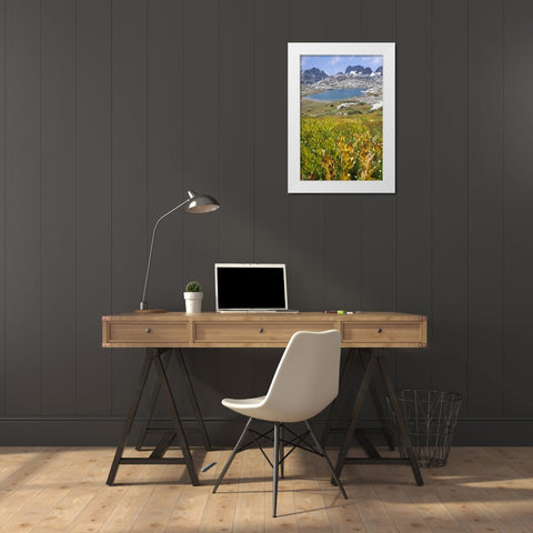 CA, Inyo NF Field of flowers and Nydiver Lake White Modern Wood Framed Art Print by Paulson, Don