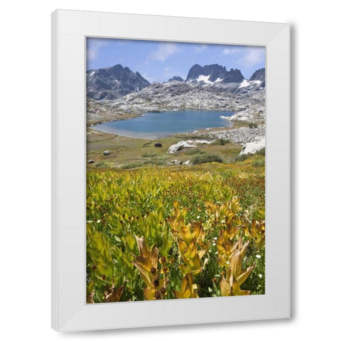 CA, Inyo NF Field of flowers and Nydiver Lake White Modern Wood Framed Art Print by Paulson, Don
