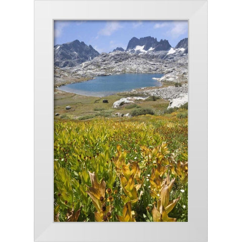 CA, Inyo NF Field of flowers and Nydiver Lake White Modern Wood Framed Art Print by Paulson, Don