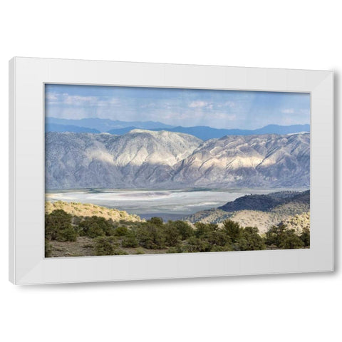CA, Inyo NF Inyo Mountains at sunrise White Modern Wood Framed Art Print by Paulson, Don
