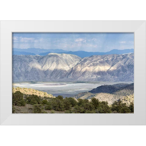 CA, Inyo NF Inyo Mountains at sunrise White Modern Wood Framed Art Print by Paulson, Don