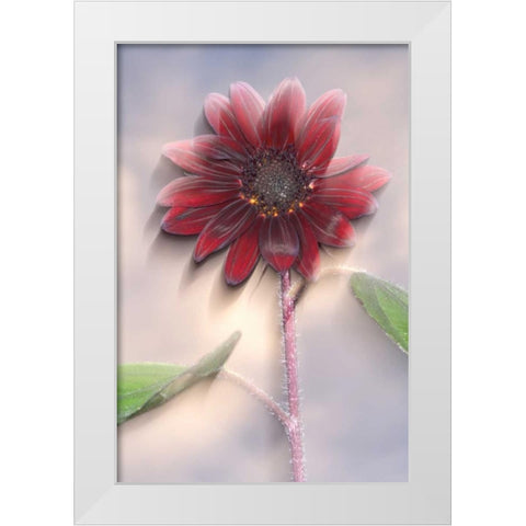 Hybrid sunflower blowing in the wind White Modern Wood Framed Art Print by Talbot Frank, Christopher