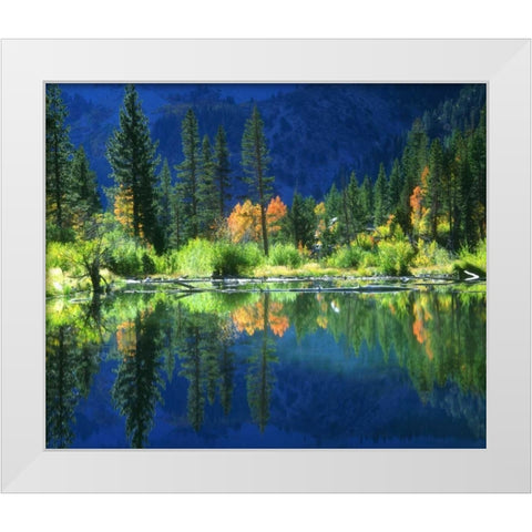 California, Sierra Nevada Mts, A beaver pond White Modern Wood Framed Art Print by Talbot Frank, Christopher