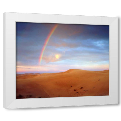 CA, A rainbow over Glamis Sand Dunes at Sunrise White Modern Wood Framed Art Print by Talbot Frank, Christopher