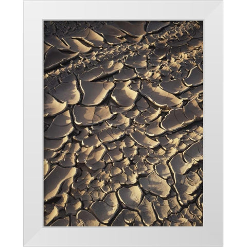 California, Anza-Borrego Patterns of Cracked Mud White Modern Wood Framed Art Print by Talbot Frank, Christopher