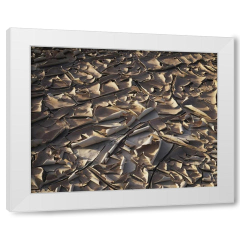 California, Anza-Borrego Patterns of Cracked Mud White Modern Wood Framed Art Print by Talbot Frank, Christopher