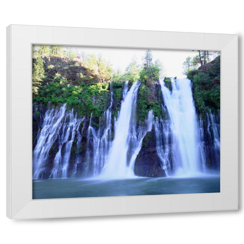 California, McArthur-Burney Falls, Burney Falls White Modern Wood Framed Art Print by Talbot Frank, Christopher