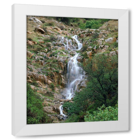 CA, San Diego, Mission Trails Park A waterfall White Modern Wood Framed Art Print by Talbot Frank, Christopher