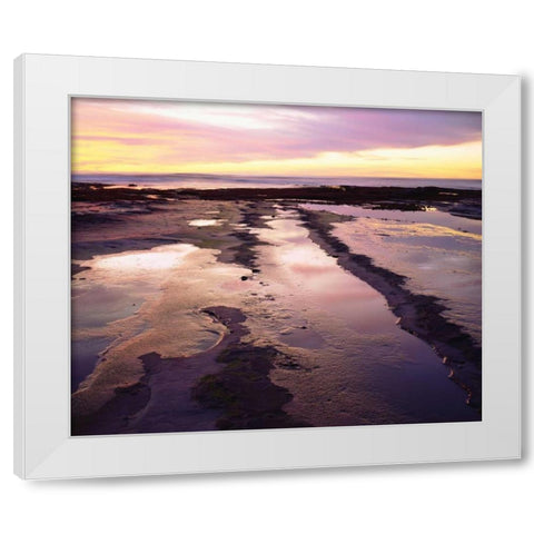 California, San Diego, Sunset Cliffs tide pools White Modern Wood Framed Art Print by Talbot Frank, Christopher
