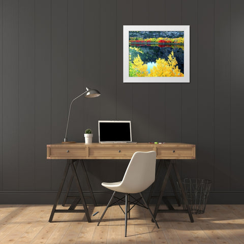CA, Sierra Nevada, Autumn at Grant Lake White Modern Wood Framed Art Print by Talbot Frank, Christopher