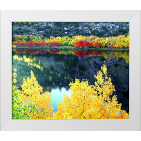 CA, Sierra Nevada, Autumn at Grant Lake White Modern Wood Framed Art Print by Talbot Frank, Christopher
