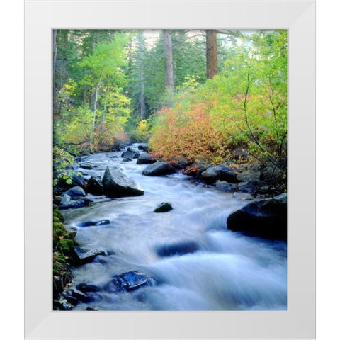 CA, Sierra Nevada, Autumn at Lee Vining Creek White Modern Wood Framed Art Print by Talbot Frank, Christopher
