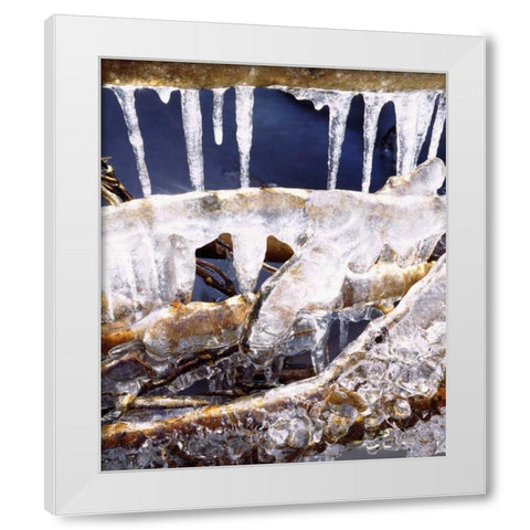 California, Sierra Nevada, Icicles in the Sierra White Modern Wood Framed Art Print by Talbot Frank, Christopher
