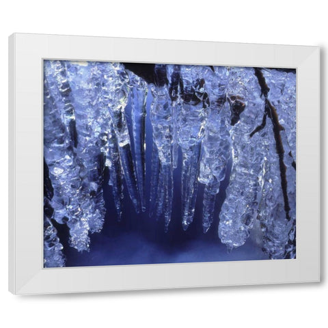 California, Sierra Nevada, Icicles in the Sierra White Modern Wood Framed Art Print by Talbot Frank, Christopher