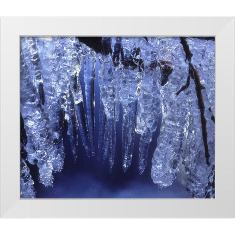 California, Sierra Nevada, Icicles in the Sierra White Modern Wood Framed Art Print by Talbot Frank, Christopher