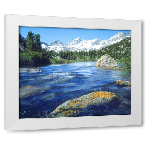 CA, Sierra Nevada Lichen covered rock in a creek White Modern Wood Framed Art Print by Talbot Frank, Christopher