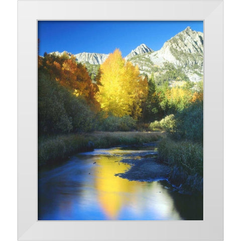CA, Sierra Nevada Autumn along Bishop Creek White Modern Wood Framed Art Print by Talbot Frank, Christopher