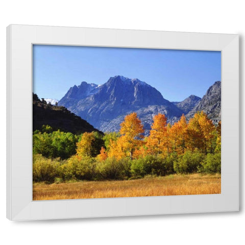 California, Autumn in the Sierra Nevada Mts White Modern Wood Framed Art Print by Talbot Frank, Christopher