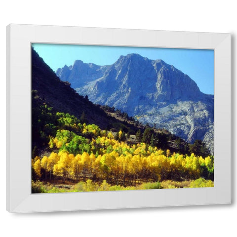 California, Sierra Nevada Autumn in the Sierras White Modern Wood Framed Art Print by Talbot Frank, Christopher