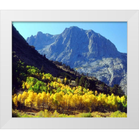 California, Sierra Nevada Autumn in the Sierras White Modern Wood Framed Art Print by Talbot Frank, Christopher
