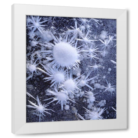 CA, Sierra Nevada Ice crystals in the Sierra White Modern Wood Framed Art Print by Talbot Frank, Christopher