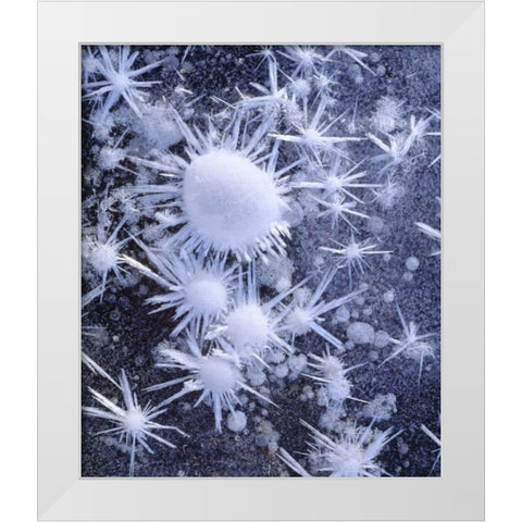 CA, Sierra Nevada Ice crystals in the Sierra White Modern Wood Framed Art Print by Talbot Frank, Christopher